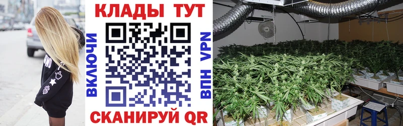 Продажа наркотиков Новое Девяткино СОЛЬ  Меф  Гашиш  Метамфетамин  COCAIN  Канабис 