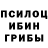 Псилоцибиновые грибы Psilocybine cubensis F1D3L