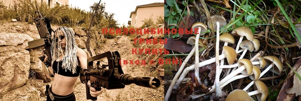 кокаин Белокуриха