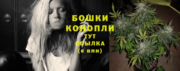 стаф Белоозёрский